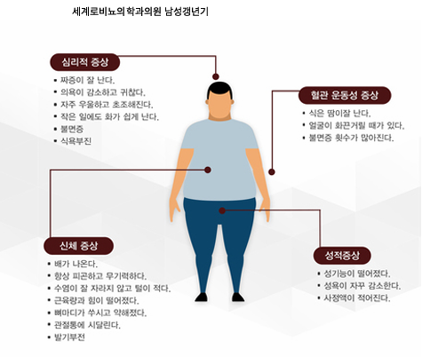 남성갱년기 심리적·혈관 운동성·신체·성적 증상 인포그래픽