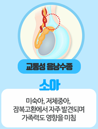 교통성 음낭수종 일러스트
